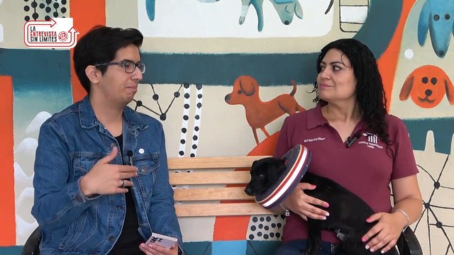 Brindan segunda oportunidad a perritos rescatados en el metro