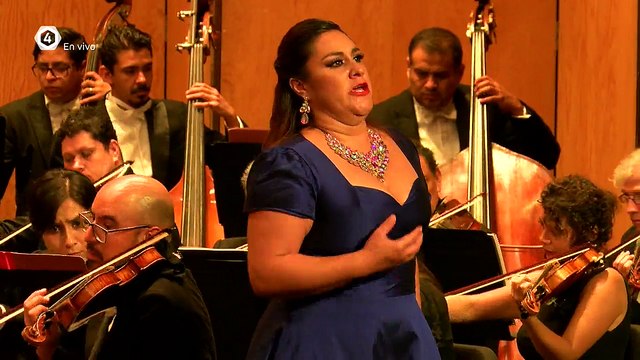 #Tv4Noticias Nocturno ️️ ️ Lunes a viernes a las 20:30 pm App · tvcuatro.tv/4-1/ · Canal 4.1 #LoViEnTv4 #Tv4Noticias