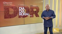 Canal Terraviva - Ao vivo