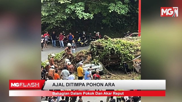 ((LIVE)) Kerajaan Tidak Guna Nama Melayu Untuk Rembat Duit. Tetak Mati Ibu Saudara Kerana Cemburu