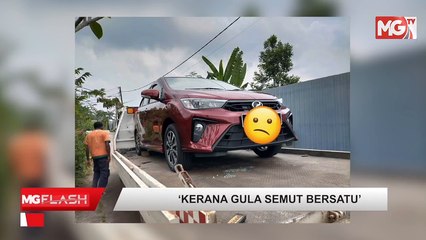 ((LIVE))Menteri MOTAC Nafi Minum Arak Di Pejabat. Warga China Berlakon Histeria Ketika Diserbu Polis