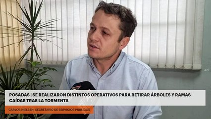 Posadas | Se realizaron distintos operativos para retirar árboles y ramas caídas tras la tormenta