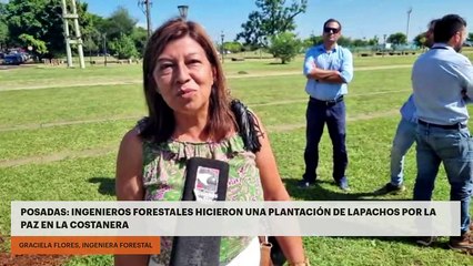 Posadas: Ingenieros forestales hicieron una plantación de lapachos por la paz en la Costanera