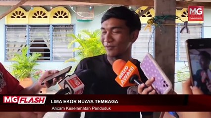 ((LIVE)) Lambat Lagi Bossku Diberi Tahanan Rumah, Kata Yana Najib. Lima Buaya Tembaga Ancam Penduduk Klebang