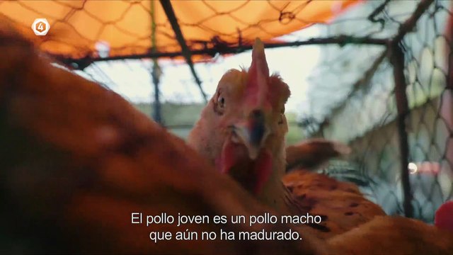 Tv4-CadaDía |CLIMATERIO Y MENOPAUSIA: SÍNTOMAS Y TRATAMIENTO | #LoViEnTv4 #ActitudCadaDía