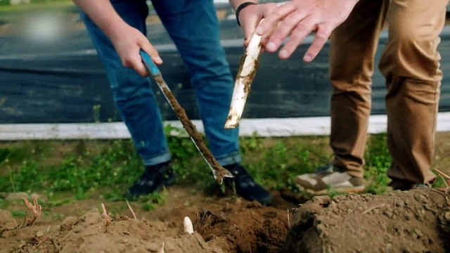 Tv4-Cada día |Risoterapia y sus beneficios | #ActitudCadadDía #LoViEnTv4 | 27-05-2024