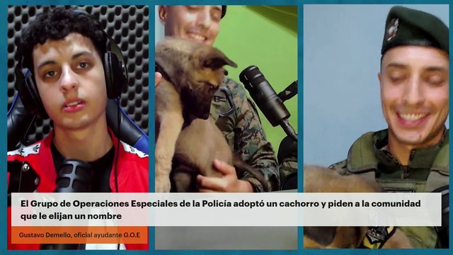 El Grupo de Operaciones Especiales de la Policía adoptó un cachorro y piden a la comunidad que le elijan un nombre