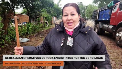 Se realizan operativos de poda en distintos puntos de Posadas