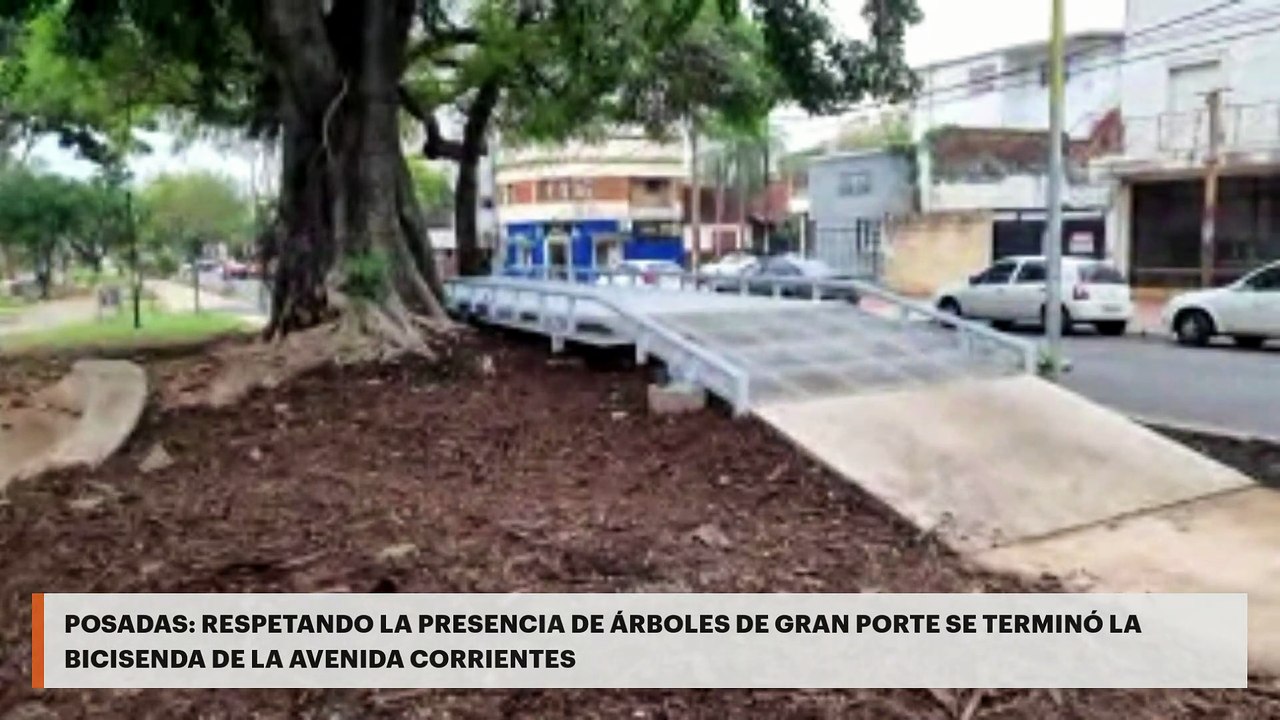 Posadas | Respetando la presencia de árboles de gran porte se terminó la bicisenda de la avenida Corrientes