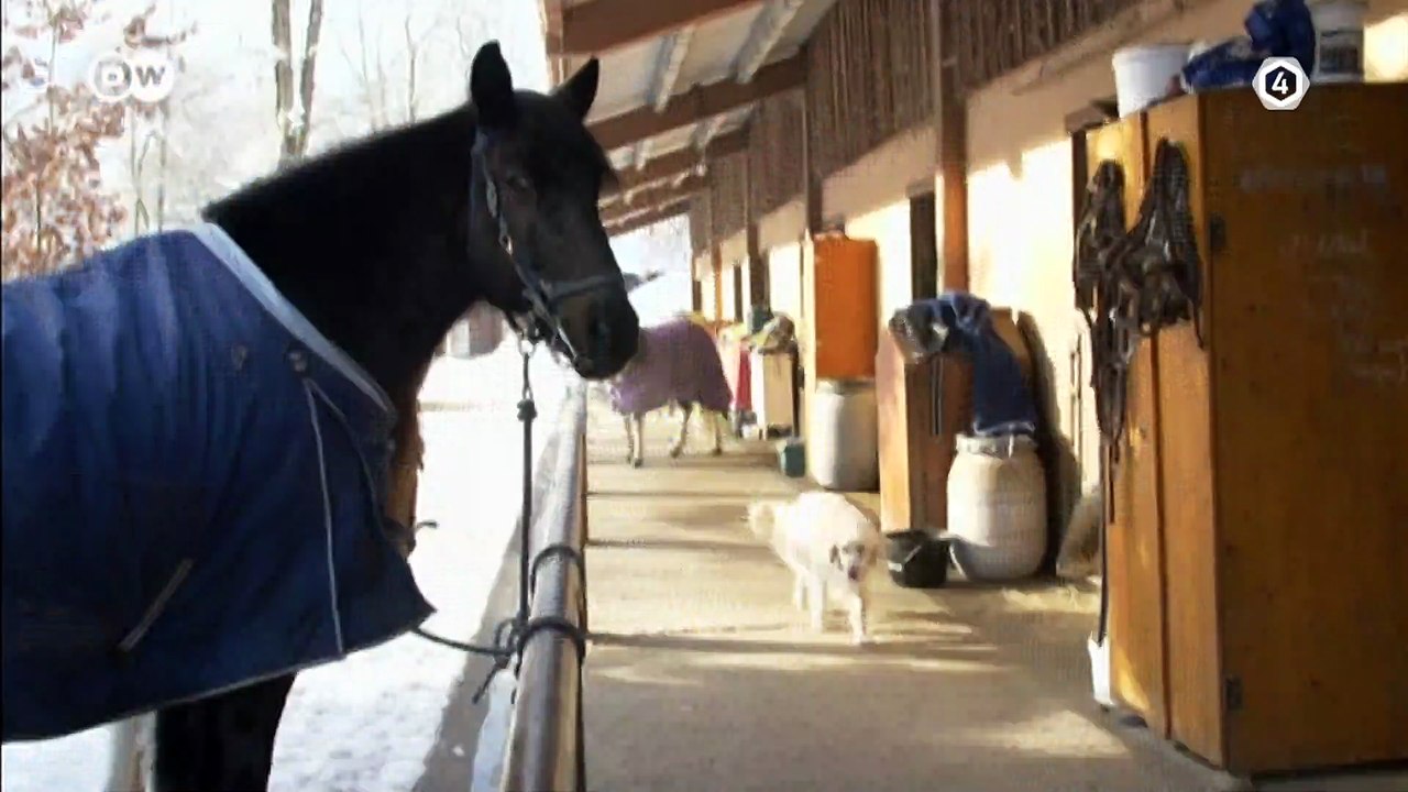 Tv4-CadaDía | te has preguntado ¿Qué es el dolor de ciática y cómo tratarlo?, El Ortopedista Francisco Cabrales nos dice cómo | #LoViEnTv4 #Cuidate #Salud | 04/07/24