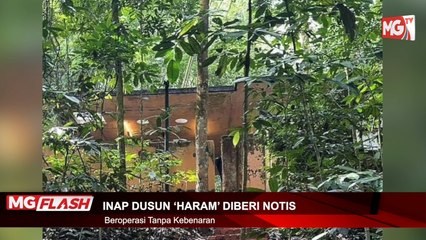 ((LIVE)) Zahid Jadi Dalang Untuk Selamat UMNO . Kematian Tiga Beranak Diklasfikasi Kes Bunuh