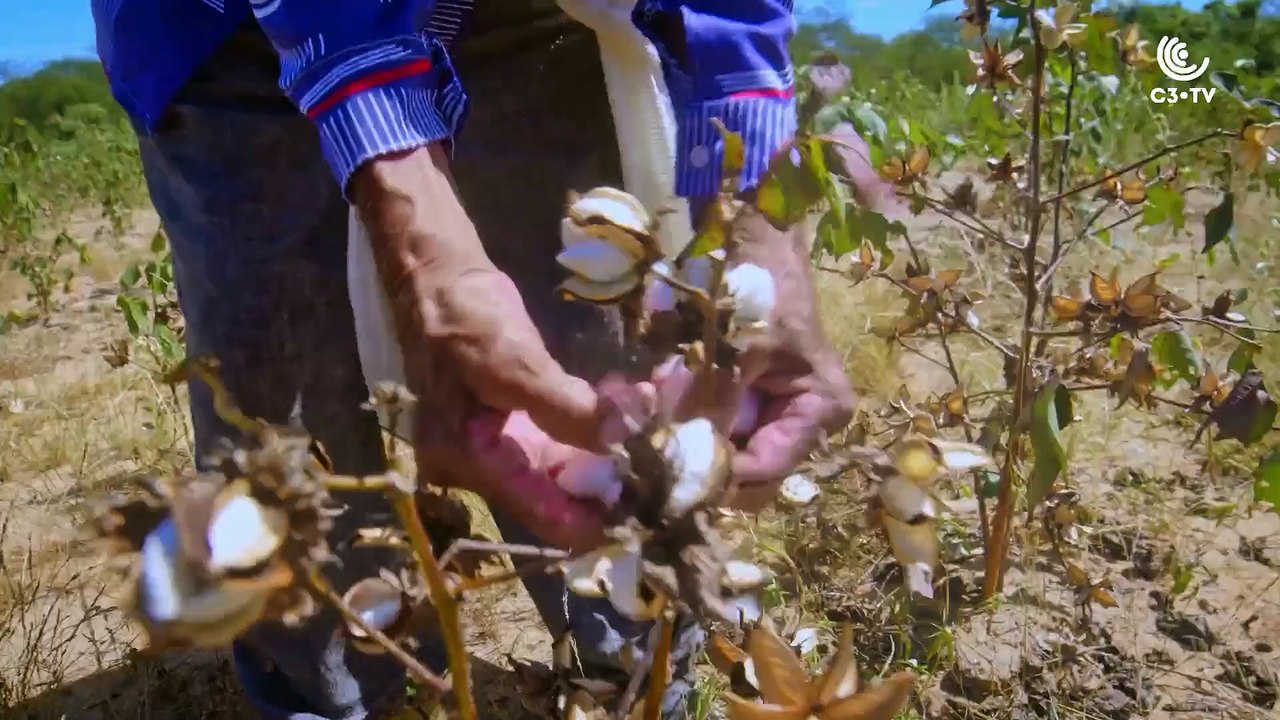 C3 TV - Climate Change Channel