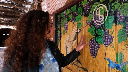 Tv4 - Cada Día | Nacimientos múltiples | #LoViEnTv4 #ActitudCadaDía | 03/10/24