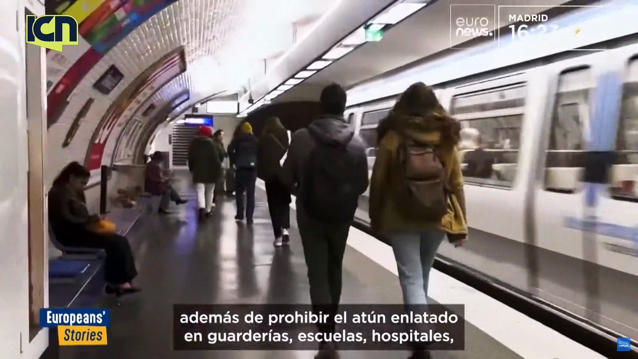 Live ICN - 5 de Diciembre 2024