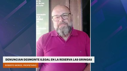 DENUNCIAN DESMONTE ILEGAL EN LA RESERVA LAS GRINGAS