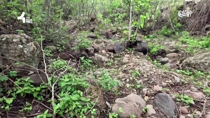 Tv4-CadaDía | Check up anuales | #LoViEnTv4 | 06/02/25