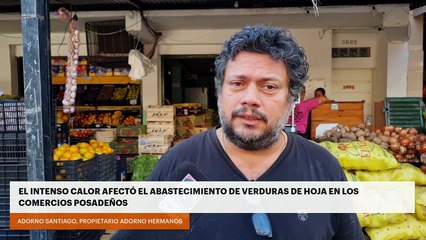 EL INTENSO CALOR AFECTÓ EL ABASTECIMIENTO DE VERDURAS DE HOJA EN LOS COMERCIOS POSADEÑOS