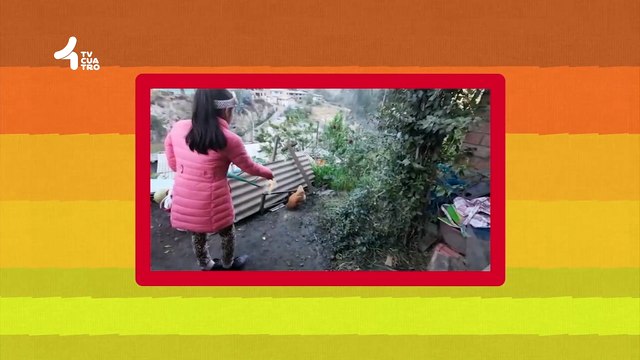 Tv4-CadaDía | Cuida tus riñones de las enfermedades renales crónicas, ¡Aquí te decimos como! | #LoViEnTv4 | 26/02/25