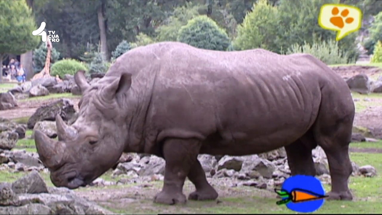 Tv4-CadaDía | Quédate con nosotros, tenemos sorpresas | 13/03/25 | #LoViEnTv4