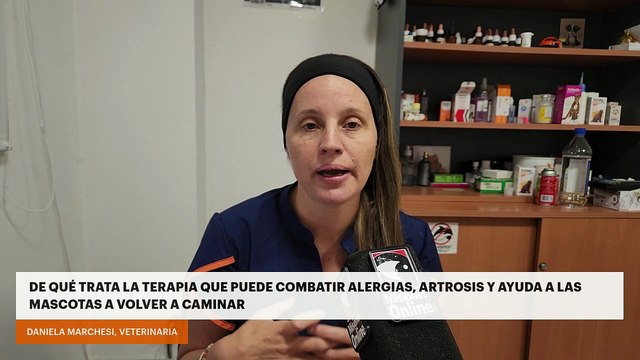 De qué trata la terapia que puede combatir alergias, artrosis y ayuda a las mascotas a volver a caminar