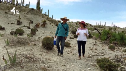 Tv4-CadaDía | ¿Qué es el cáncer de vulva? ,los síntomas del cáncer de vulva pueden confundirse con los de otras afecciones menos graves | #TransmitamosFelicidad | 24/03/25