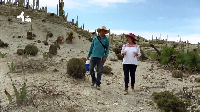 Tv4-CadaDía | ¿Qué es el cáncer de vulva? ,los síntomas del cáncer de vulva pueden confundirse con los de otras afecciones menos graves | #TransmitamosFelicidad | 24/03/25