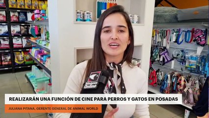 Realizarán una función de cine para perros y gatos en Posadas