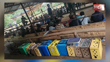 ((LIVE)) Ramasamy Mengaku Tidak Bersalah . Pelajar Bangladesh Jadi Prebet Sapu Ditahan