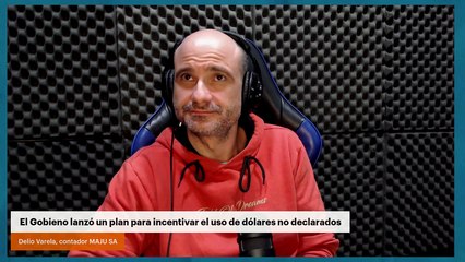 El Gobieno lanzó un plan para incentivar el uso de dólares no declarados