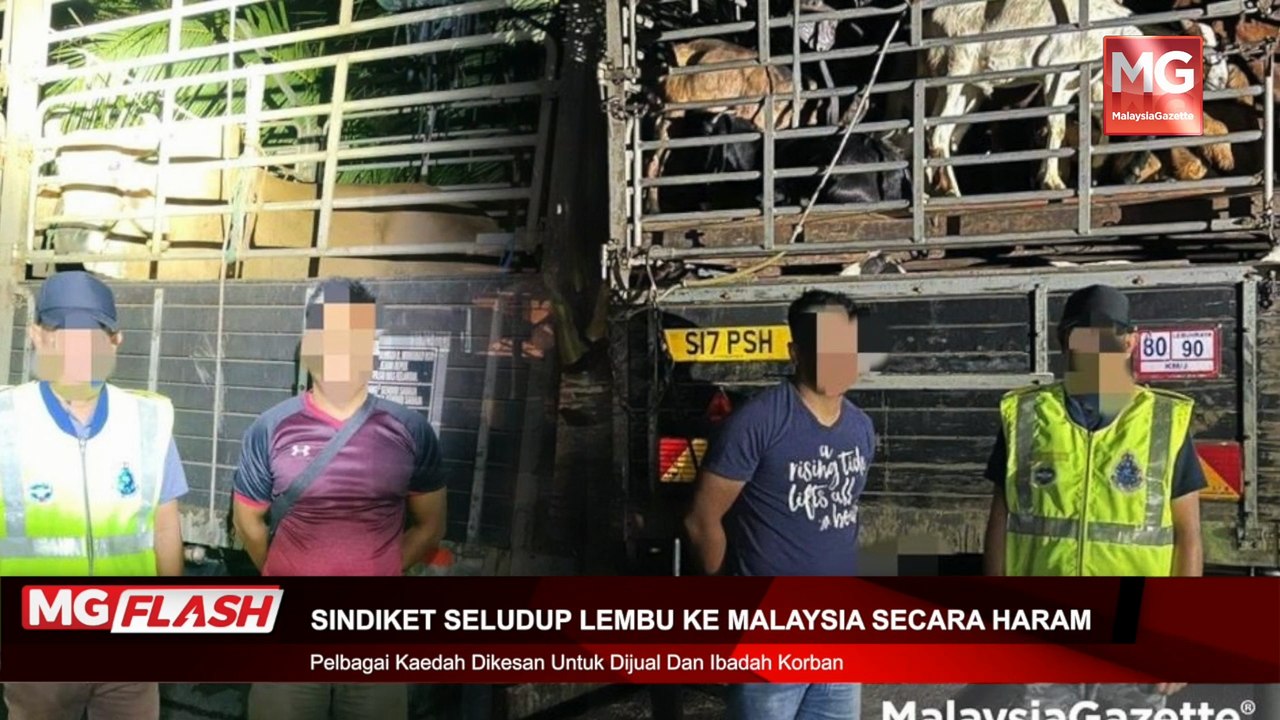 ((LIVE)) Gelombang Baharu Tengku Zafrul Gadai Prinsip Demi Kuasa, Penganjur LGBT Disiasat