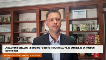 Lanzaron ronda de negocios foresto industrial y las empresas ya pueden inscribirse