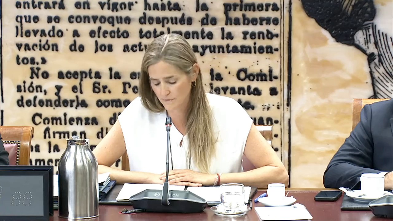 Directo Senado