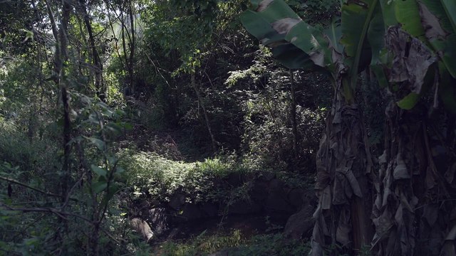 Testimonios: Petrona Acosta y Matías Bertone, de Paraguay y Buenos Aires a El Soberbio