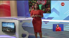 KBC Channe 1 Live | kbcplus.co.ke