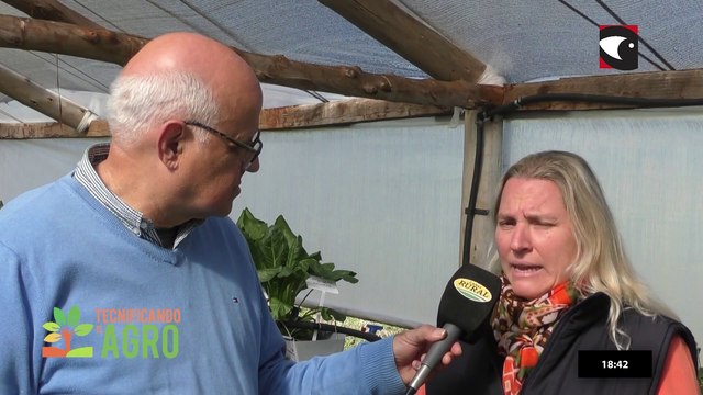 De la innovación en sustratos a la consolidación ganadera y florícola en Misiones