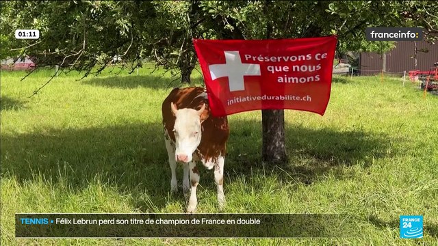 🔴​ franceinfo - DIRECT TV - actualité France et monde, interviews, documentaires et analyses