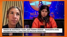 Más Allá de las Barreras | Perros de asistencia y guía: ¿qué pueden lograr?