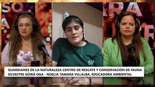 Permiso para Brillar | Guardianes de la naturaleza Centro de rescate y conservación de fauna silvestre Güira Oga