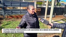 POSADAS | CUATRO PERROS ASESINARON A UN CACHORRO DE SEIS MESES