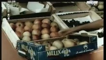 2026 Nex test live