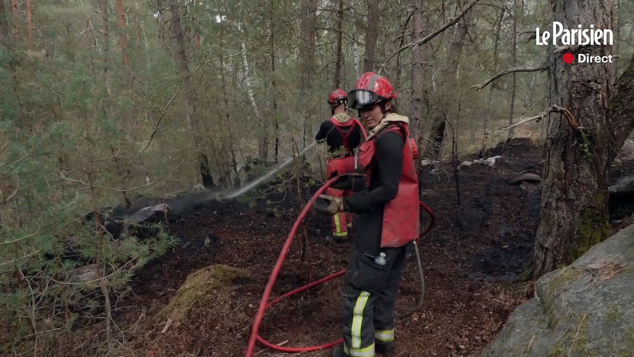 Direct: dans la forêt de Fontainebleau, le feu «contenu» mais pas encore fixé