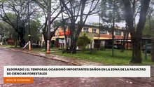 Eldorado | El temporal ocasionó importantes daños en la zona de la Facultad de Ciencias Forestales