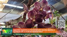 Turismo Misiones | Historias, destinos y propuestas para recorrer la provincia