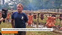 Fiesta provincial del lechón en Bonpland: mas de 130 cerdos estan siendo asados