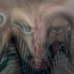 Alexandre Likeamarmota