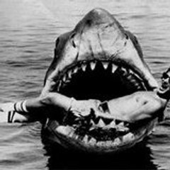 agecfm
