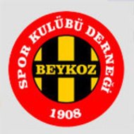 Beykoz Spor Kulübü, TTNet Beykoz
