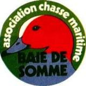 oigne080