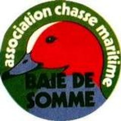 oigne080