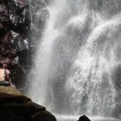 Junglexpedition